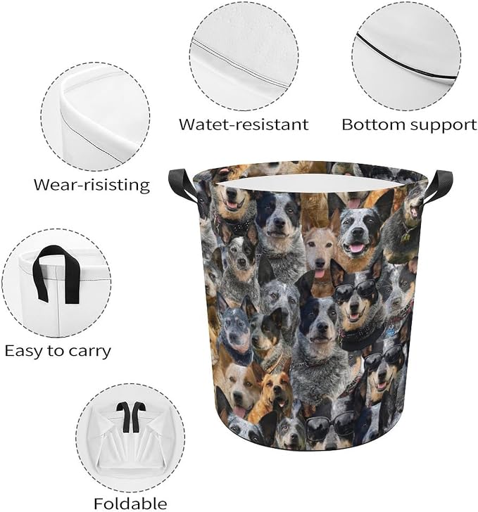 Australian Cattle Dog Print Laundry Basket, Funny Pet Dog Laundry Hamper, Collapsible Organizer Basket Storage Bin for Bedroom Clothes, Gifts for Australian Cattle Dog Dog Mom Dog Lover Owner