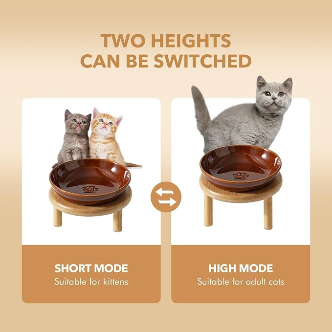 Havniva Elevated Cat Bowls, Ceramic Cat Bowl with Bamboo Stand Wide Opening | 5.7” Raised Cat Food Bowls, Whisker Friendly Cat Dish, Anti-Slip Cat Water Bowls, Shallow Cat Bowls, Cat Food & Water Bowl