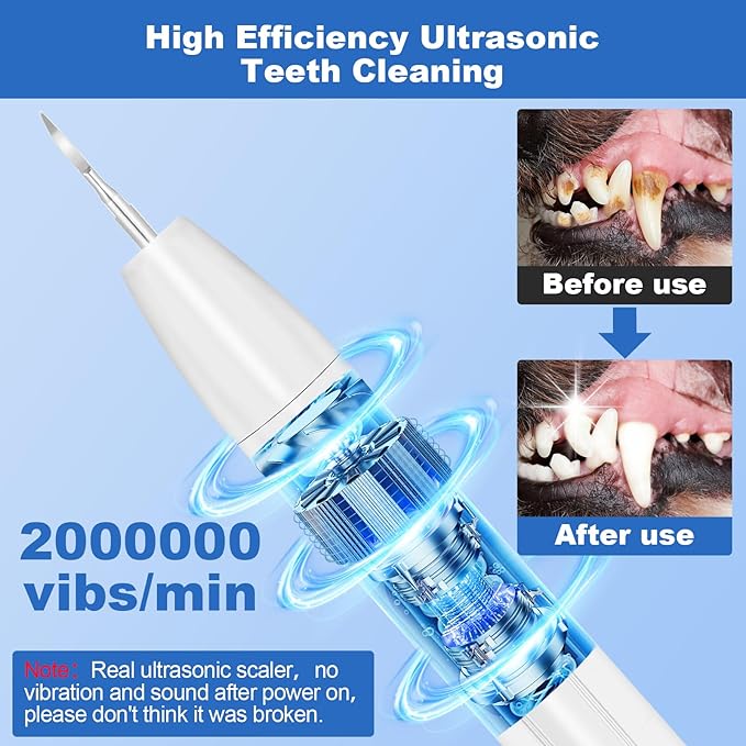 Rarepet Dog Teeth Cleaning Kit with Light, USB Rechargeable Dogs Tooth Brushing Kit, 3 Modes Doggie Toothbrush, Dog Plaque and Tartar Remover for Teeth, Low Noise Dog Teeth Cleaner, Pure White