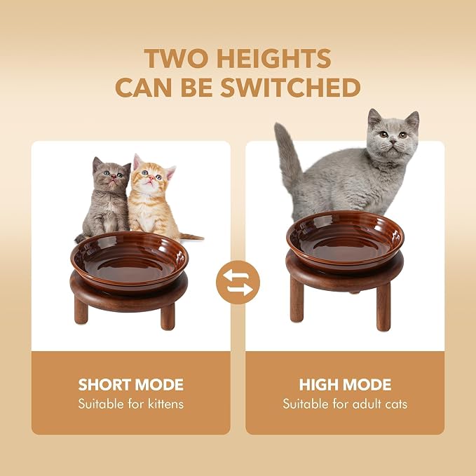 Havniva Elevated Cat Bowls, Ceramic Cat Bowl with Wood Stand, Wide Opening | 5.7” Raised Cat Food Bowls, Whisker Friendly Cat Dish, Anti-Slip Cat Water Bowls, Shallow Cat Bowls, Cat Food & Water Bowl