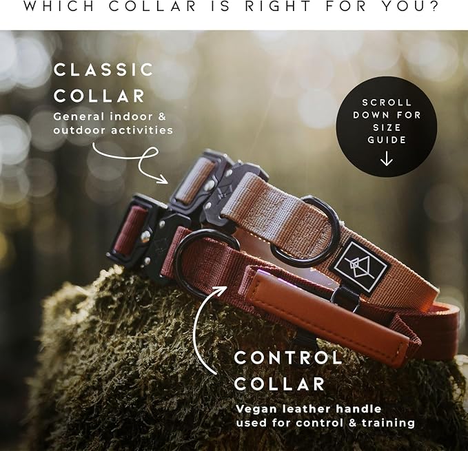 MADE TO ROAM Explorer Dog Collar | Heavy Duty Nylon & Durable Metal Buckle | Premium adjustable collar with rust-resistant hardware. Fits small to large dogs. 15 colors. Matching leash & harness