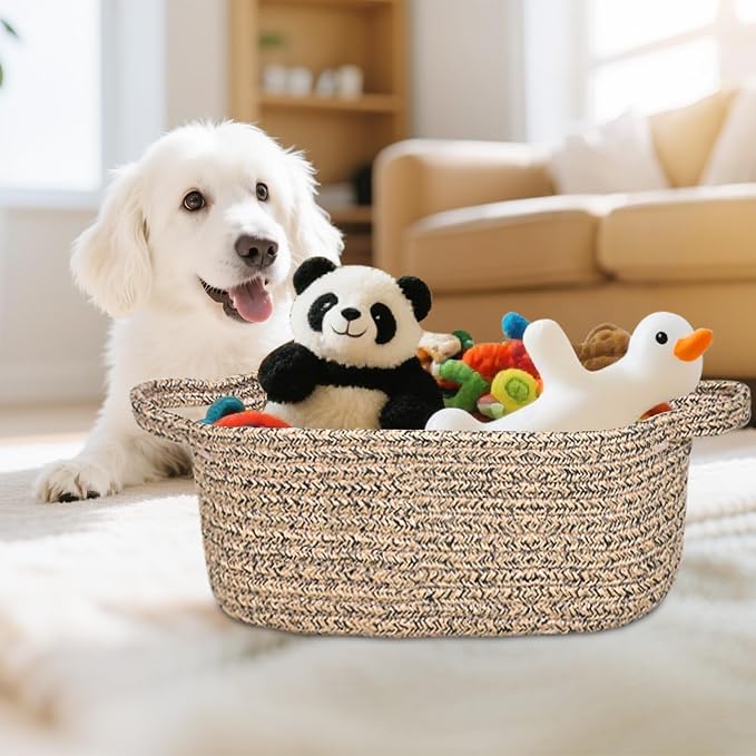 ABenkle Small Basket with Handles, Boho Decorative Rope Woven Dog Cat Toy Storage Bin Shelf Storage Organizer, Easter Christmas Gift Basket, 12"x8"x5"