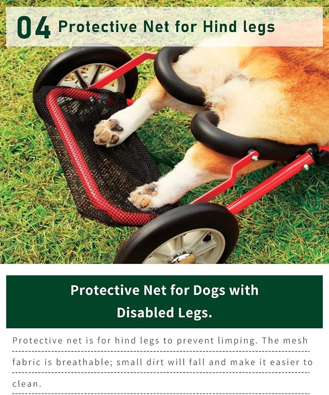 PaletteLife Corgi Dog Wheelchair for Back Legs, Adjustable Dog Cart with Wheels, Lightweight Rear Leg Mobility Support for Disabled, Injured & Senior Dogs