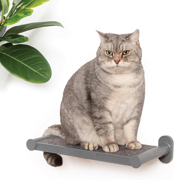 Cat Wall Shelves, 17" x 8" Wall Furniture with Felt Pad, Modern Design, Easy to Install & Clean, Cat Perch for Sleeping & Playing (Dark Grey)