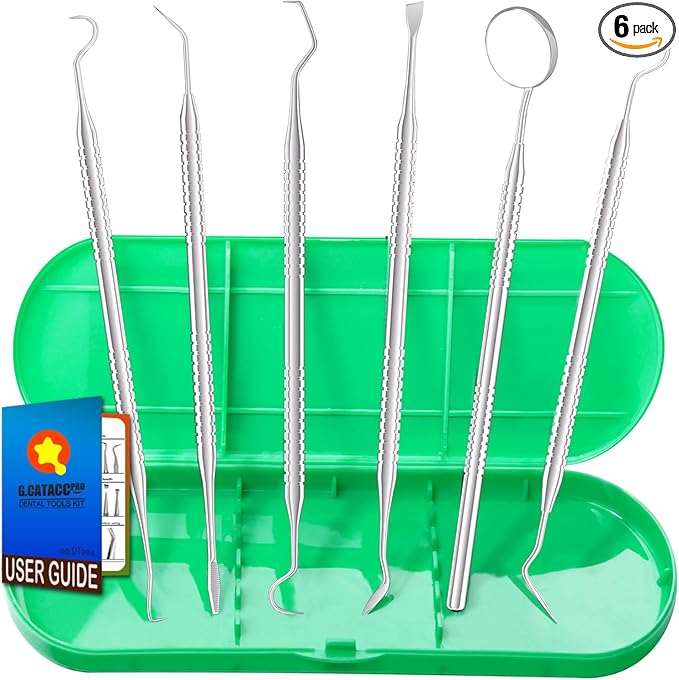 G.CATACC Dental Tools, Metal Dental Pick Teeth Cleaning Tools for Home Use, Stainless Steel Oral Care Hygiene Kit with Tooth Scraper Plaque Tartar Remover - with Case