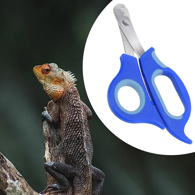 KEUYE Bearded Dragon Nail Clippers,Stainless Steel Bearded Dragon Toe Nail Clippers with Precise Angled Edges (Blue)