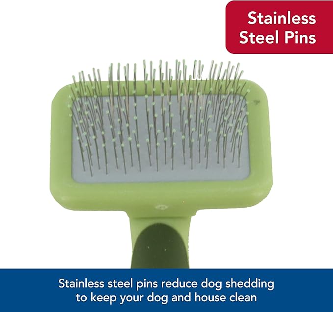 Coastal Pet Safari Dog Soft Slicker Brush - Dog Grooming Brush for Shedding - for Dogs with Short, Medium and Long Hair - Large - 6.75" x 4.375"
