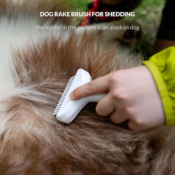 Self Cleaning Grooming Rake Brush for Shedding Gently Removes Loose Undercoat Mats Tangled Deshedding Grooming Tool for Dogs Cats Extra Wide (White)