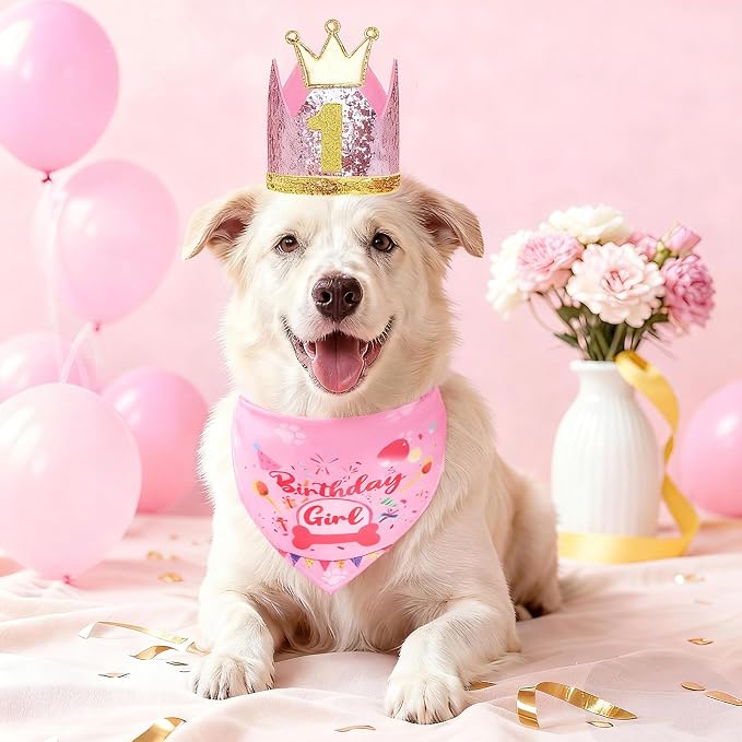 Rensh Dog Birthday Party Supplies, Dog Birthday Bandana Hat with Numbers for X-Large Large Small Pets, Multi Size Birthday Decorations for Dogs and Cats (Pink, Large)