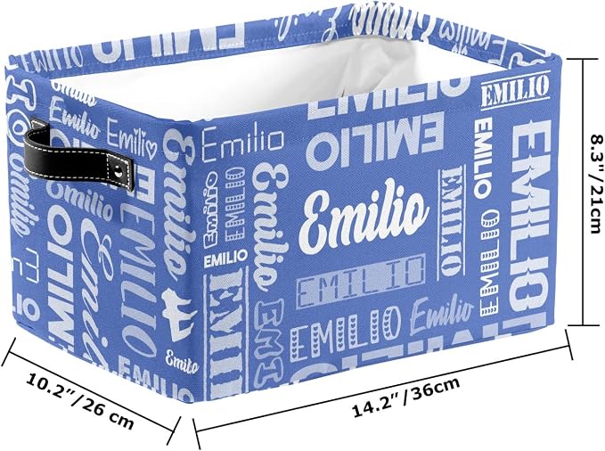 Personalized Toy Box Storage Bins for Boys Girls with Name, Kids Custom Storage Basket Cubes Organizer with Handles, Shelf Closet Storage Baskets Bin Customized Gift, 1 Pack