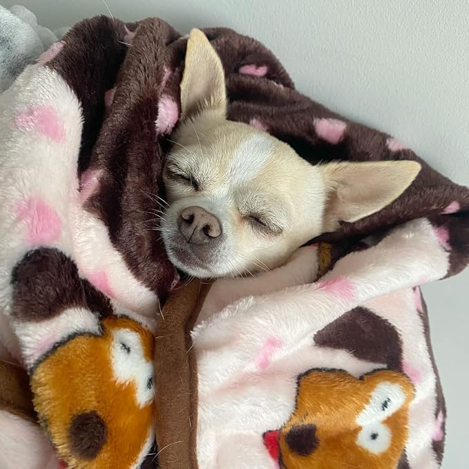 Snuggle Puppy Fleece Blanket for Dogs, Machine Washable, 48 x 30 in