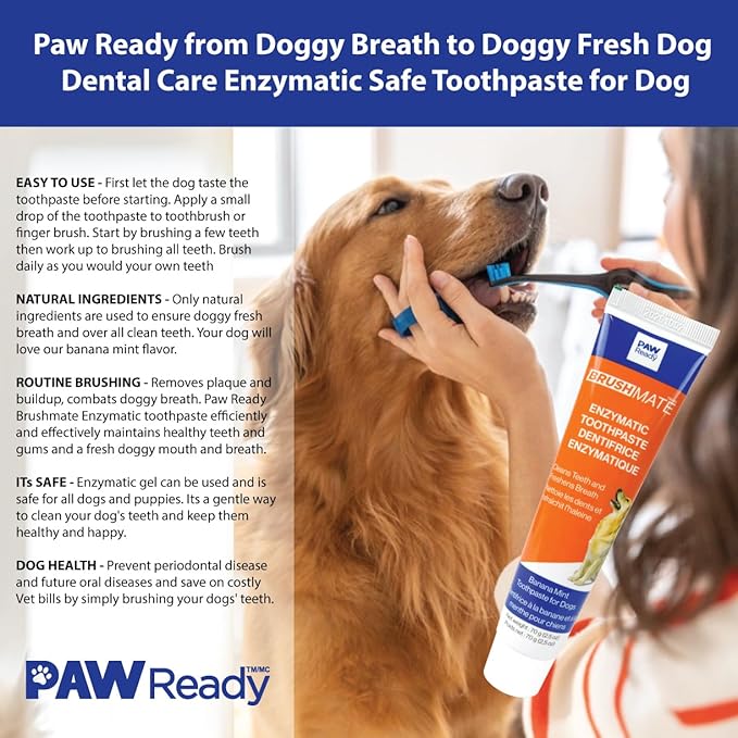 Paw Ready Doggy Breath to Doggy Fresh Dog Dental Care Kit Includes Enzymatic Toothpaste, Dual Brush Head Toothbrush with Angled Bristles and Blue Bite Block to Gently Keep Pets Jaw Open (Blue, Small)