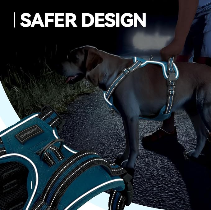 VIVAGLORY No Pull Dog Harness Vest Harness, S, Sky Blue - Patterned | with Handle Front and Back Clip for Training & Pulling, No Pull & Escape Proof Padded Adjustable for Pet Puppy
