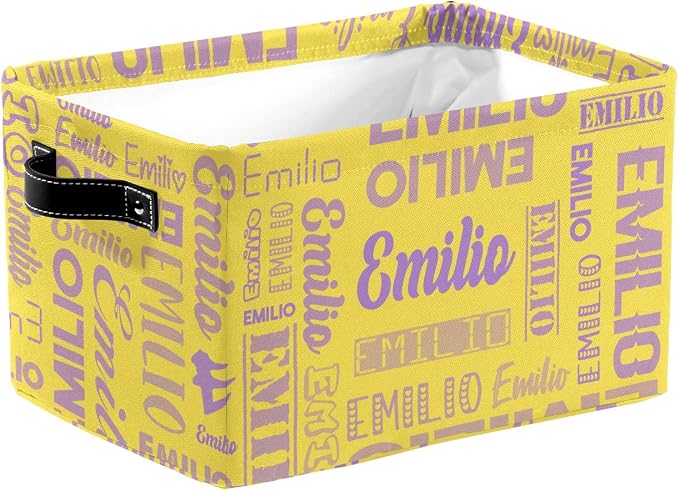 Personalized Toy Box Storage Bins for Boys Girls with Name, Kids Custom Storage Basket Cubes Organizer with Handles, Shelf Closet Storage Baskets Bin Customized Gift, 1 Pack