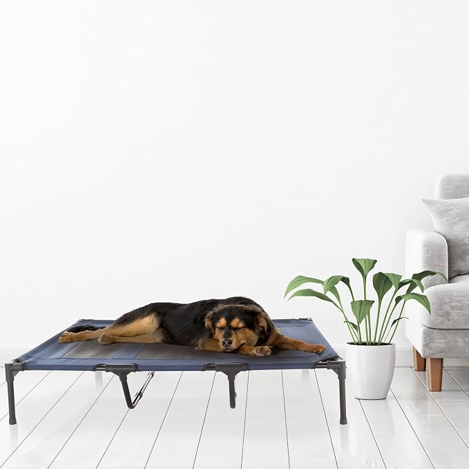 Elevated Dog Bed - 48x35.5-Inch Portable Pet Bed with Non-Slip Feet - Indoor/Outdoor Dog Cot or Puppy Bed for Pets up to 110lbs by PETMAKER (Blue)