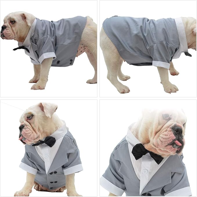 Lovelonglong Bulldog Costume Dog Suit Formal Tuxedo with Black Bow Tie Wedding Clothes for Pugs/French Bulldog/English Bulldog/American Pit Bull Gray B-XL