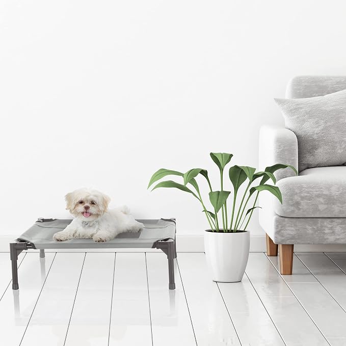 Elevated Dog Bed - 24.5x18.5-Inch Portable Pet Bed with Non-Slip Feet - Indoor/Outdoor Dog Cot or Puppy Bed for Pets up to 25lbs by PETMAKER (Gray)