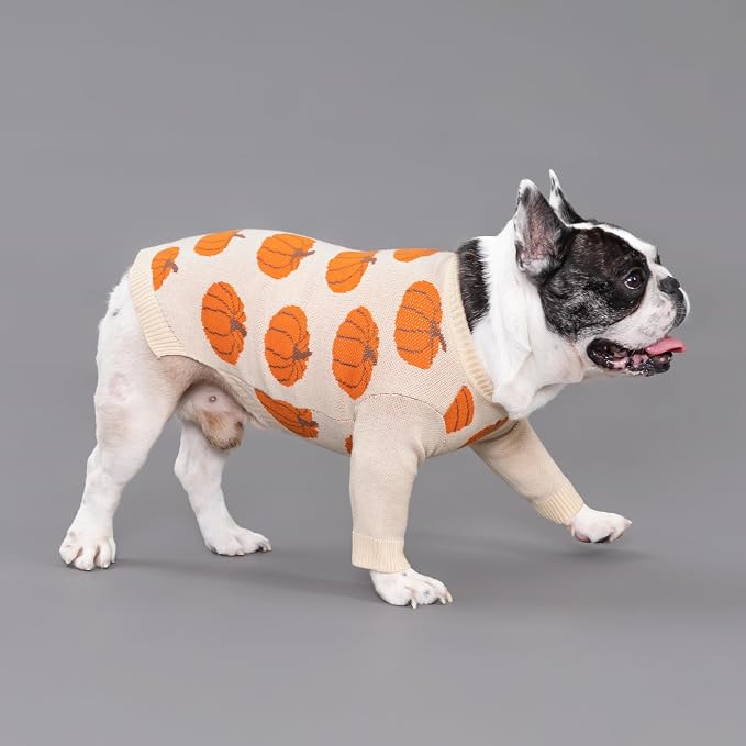 Fitwarm Pumpkin Dog Sweater, Thanksgiving Outfit for Small Dogs Boy Girl, Pet Outfit, Orange, Beige, Large