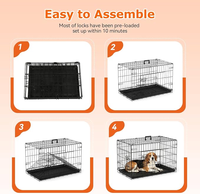 FDW | 30" Foldable Metal Dog Crate | Black | Cage for Medium Dogs | Heavy Duty, Portable Wire Kennel with Double Door, Divider & Leak-Proof Tray | For Training, Home, Travel Indoor/Outdoor Use