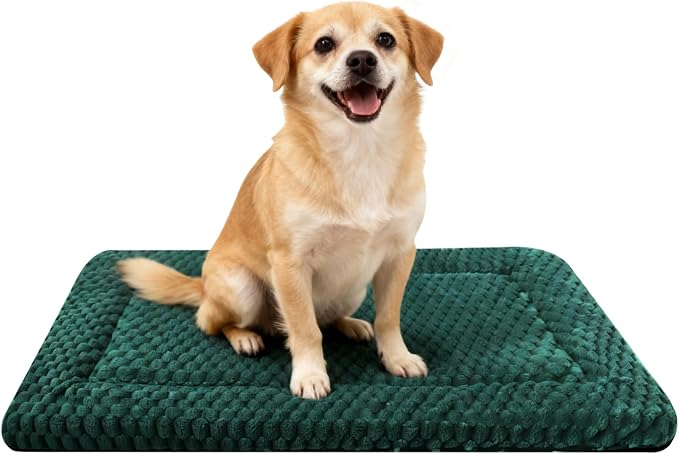 Dog Bed Mat - Dog Crate Pad - Reversible Mat for Pet Comfort - Soft Bed Crate Pads for All Seasons - Durable, Machine Washable Mat for Crates, Travel, and Home (Dark Green, 30" L*20" W*1.5" Th)