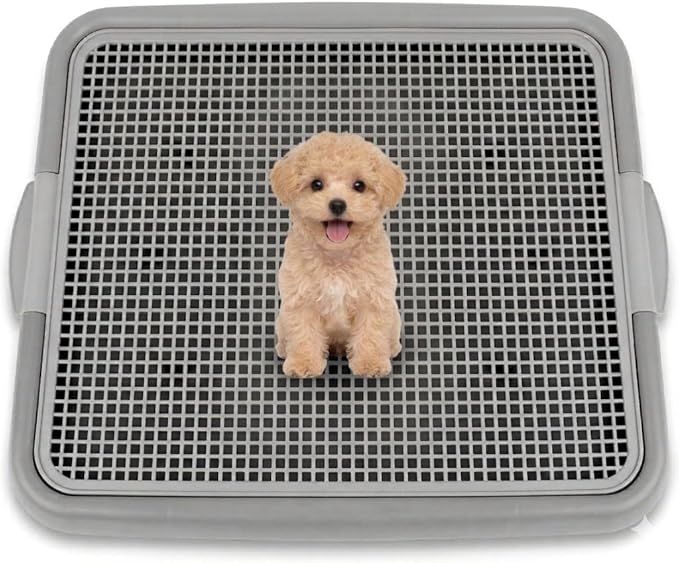 UPIT Puppy Potty Tray with Mesh – Dog Pee Pad Holder for Small Dogs & Puppies, Indoor Dog Potty Training Toilet, Plastic Leak-Proof Dog Potty Tray (Small - 20 x 16 in)
