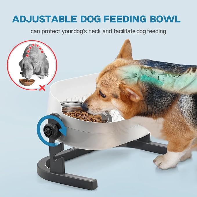 All for Paws Elevated Dog Bowls, Stainless Steel Food & Water Bowls, Height Adjustable Raised Cat Feeder Mess Proof Pet Feeding Bowls for Small to Large Size Dogs