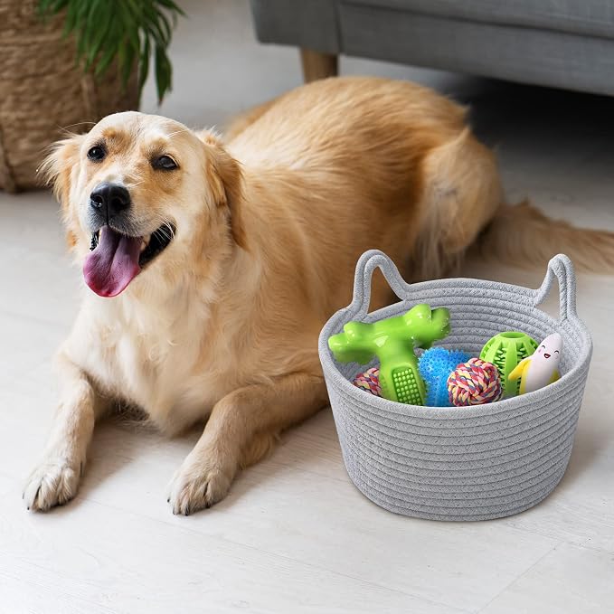 Small Cat Ears Toy Organizer, Woven Cotton Rope Basket, Decorative Nursery Bins & Boxes Gift Basket Empty for Baby Pet Toy Storage