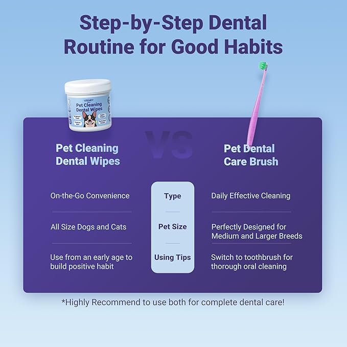Dog Toothbrushes for Medium and Large Dogs&Cats, 2pcs, Ultra Soft Bristle, Long Durable Handle, Pet Tooth Brush and Dental Care Kit, Super Thin Bristle Gentle on Gum for Sensitive Pets, Red Violet