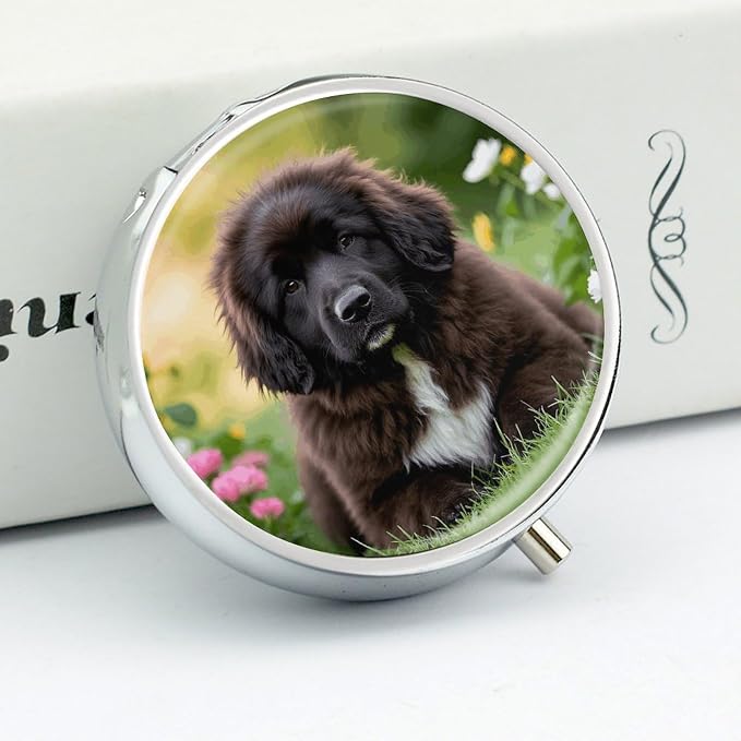 Cute Pet Newfoundland Dog Pill Box Exquisite Round Pill Organizer 3 Compartments Portable Pill Case Waterproof Mini Medicine Container Cute Medicine Box for Pocket Purse Daily Vitamin Holder