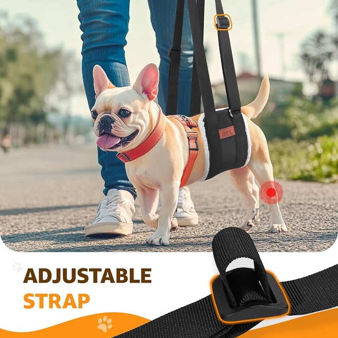 Adjustable Dog Lift Harness for Small Dogs Hind Leg Support Weak Legs Aid | Dog Sling, Helps Seniors, Injured, Disabled and After ACL Surgery Dogs, Daily Walk/ Stairs, Soft Padded, Easy to Use