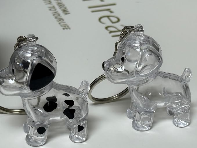 EPMANN 4Pcs Dog Hair Collector Keychain Charm Memorial Storage Box, Transparent Bottle for Pet Hairs Keychain