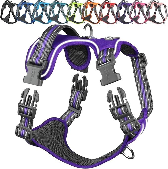 VIVAGLORY No Pull Dog Harness Vest Harness, XS, Purple - Patterned | with Handle Front and Back Clip for Training & Pulling, No Pull & Escape Proof Padded Adjustable for Pet Puppy