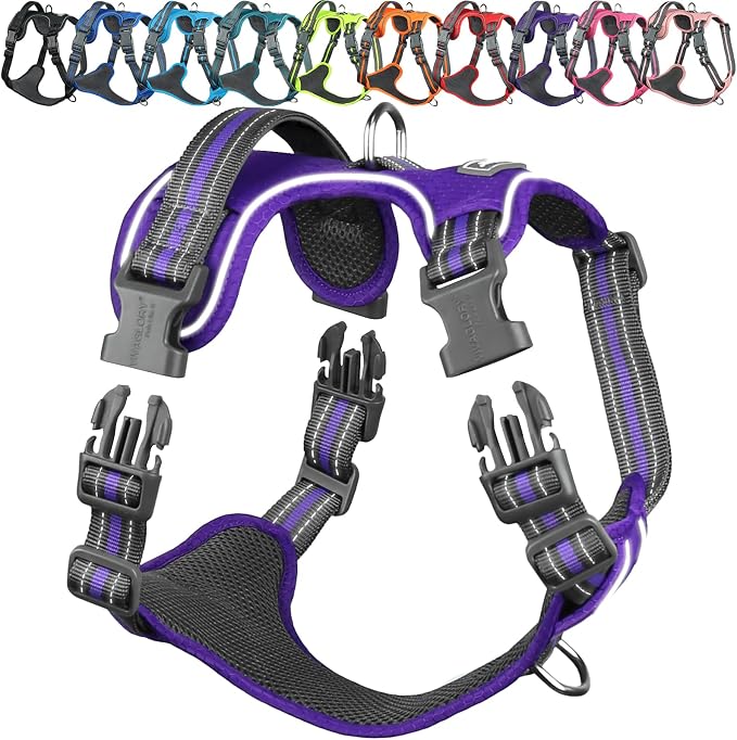 VIVAGLORY No Pull Dog Harness Vest Harness, S, Purple - Patterned | with Handle Front and Back Clip for Training & Pulling, No Pull & Escape Proof Padded Adjustable for Pet Puppy