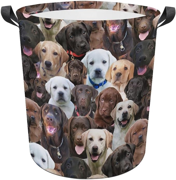 Large Laundry Hamper for Labrador Dog Lover, Waterproof Laundry Basket with Handle, Cute Labrador Dog Print Collapsible Clothes Storage Organization for Bathroom Bedroom Laundryroom