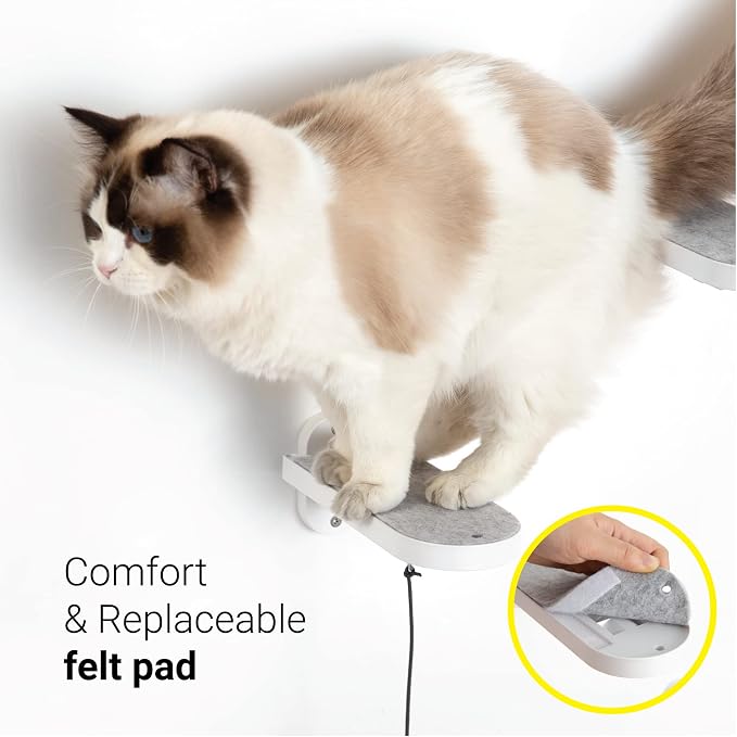 (2-PACK Cat Wall Steps, Cat Climbing Stairs with Replaceable Felt Pad, Cat Climbing Shelves for Wall Mounted with Cat Toy, Cat wall furniture for Kitten, Medium and Large Cats (White)