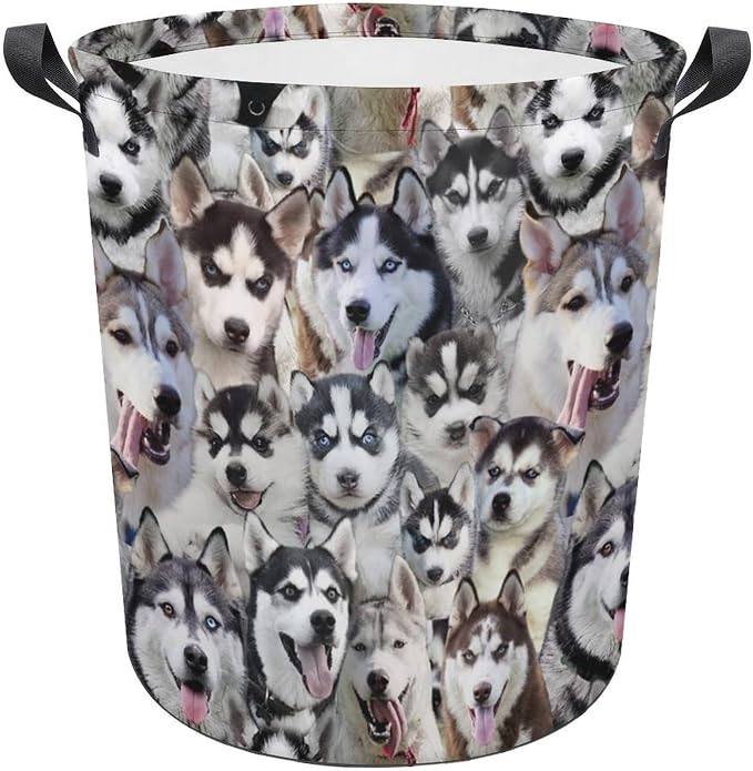 Cute Husky Dog Print Laundry Basket Foldable With Handles, Funny Husky Dog Tote Bag, Oxford Cloth Husky Dog Laundry Hamper Clothes Storage Bucket For Bathroom Laundry Bedroom