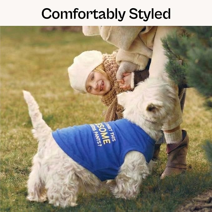 Parisian Pet Dog T-Shirt - Embroidered “ Awesome “ Shirt - Pure Cotton and Lightweight Dog Clothes - Blue Sleeveless Pet Tee Shirts - Cute Puppy Clothes - Shirts for Small Dogs Boy - S