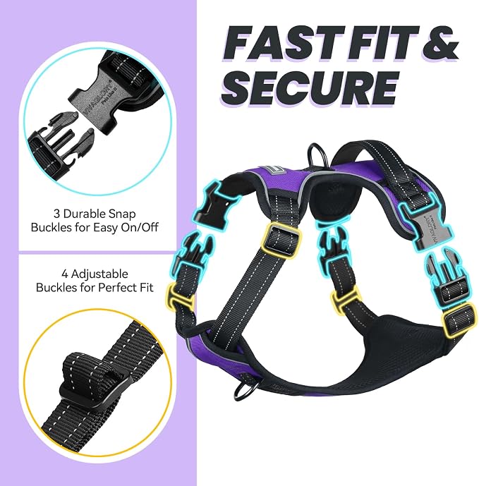 VIVAGLORY No Pull Dog Harness Vest Harness, S, Purple - Plain | with Handle Front and Back Clip for Training & Pulling, No Pull & Escape Proof Padded Adjustable for Pet Puppy
