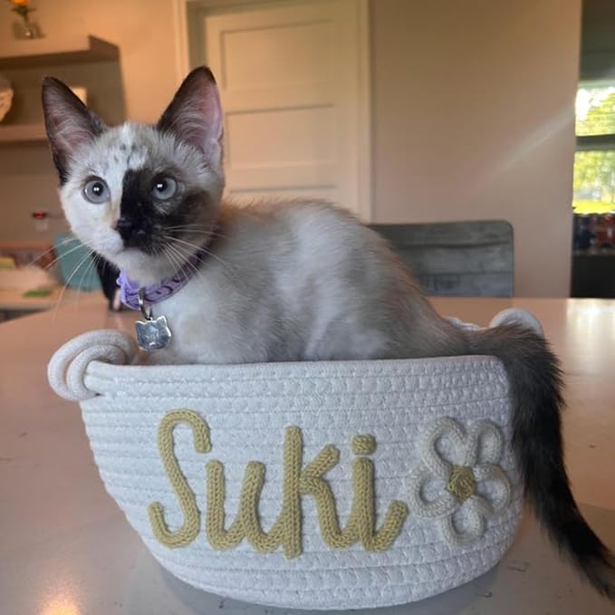 Personalized Dog Toy Basket,Rope Cotton Gift Basket with Pet's Name,Custom Storage Box Chest Organizer for For Dog,Cat,Toys,Coats,Clothing,Blankets,Pet Gift (35 * 19 * 13cm)