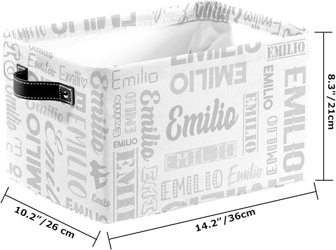 Personalized Toy Box Storage Bins for Boys Girls with Name, Kids Custom Storage Basket Cubes Organizer with Handles, Shelf Closet Storage Baskets Bin Customized Gift, 1 Pack