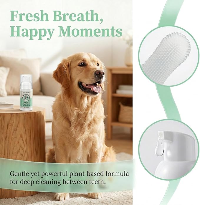 Dog Toothpaste and Toothbrush Kit, Dog Dental Gel for Plaque and Tartar Removal, Dog Teeth Cleaning for Fresh Breath and Daily Oral Support, Suitable for Dogs of All Ages(1 OZ)