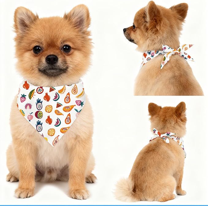 Tropical Fruit Dog Bandana, Papaya Watermelon Citrus Pattern Pet Triangle Scarf for Small Medium Dogs, Cute Puppy Bandana for Daily Wear Picnic Birthday Party Family Photos