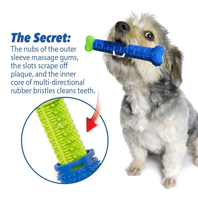 BulbHead Chewbrush Toothbrush and Toy - No Dog Toothpaste Required - Great Teeth Cleaning Toy (1 Pack)