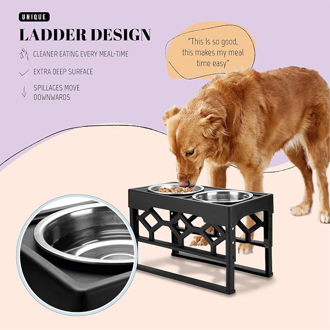 AVERYDAY Elevated Dog Bowls, 4 Height Adjustable Stand for Medium and Large Dogs, Raised Dog Feeder Holder with 2 Stainless Steel Food and Water Bowls, Anti-Slip Base Tall Feeding Station
