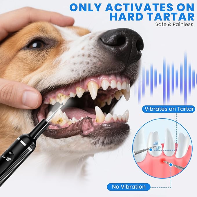 Dog Plaque Remover for Teeth,Pet Ultrasonic Tooth Cleaner with LED Light,Cleaning Kit for Tartar and Stains,5 Adjustable Modes,Pet Teeth Cleaning kit,Suitable for Dogs and Cats (Black)