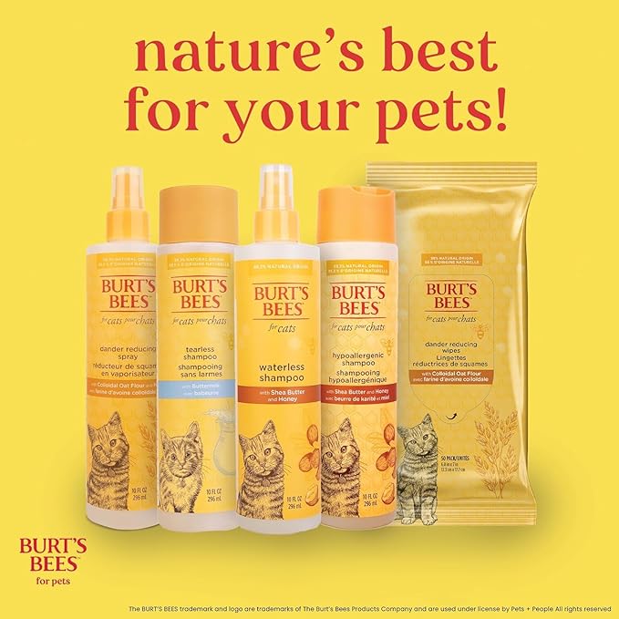 BURT'S BEES FOR PETS Hypoallergenic Cat Shampoo with Shea Butter and Honey, Gentle Kitten Shampoo for Indoor Cats with Dry or Sensitive Skin, Cat Bathing Supplies, 10 Fl Oz - 2 Pack