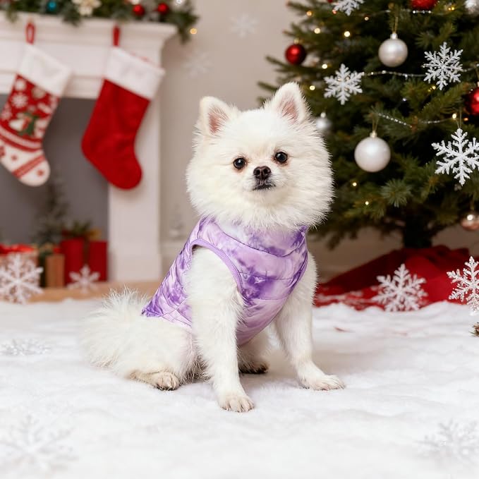 Idepet Pet Dog Cat Coat with Leash Anchor Color Patchwork Padded Puppy Vest Jacket Teddy Chihuahua Costumes Pug Cloth XS S M L(X-Small,Purple Tie-dye)