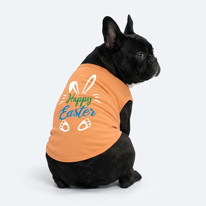 Fitwarm Happy Easter Bunny Dog Shirt, Easter Dog Clothes for Small Dogs Boy Girl, Cute Pet Outfit, Green, Blue, White, Orange, Small