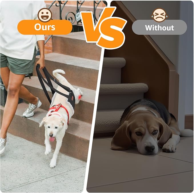 Adjustable Dog Sling for Medium Dogs Soft Post-ACL Surgery Mobility Aid | Dog Lift Harness, Helps Seniors, Injured, Disabled and After ACL Surgery Dogs, Daily Walk/ Stairs, Soft Padded, Easy to Use