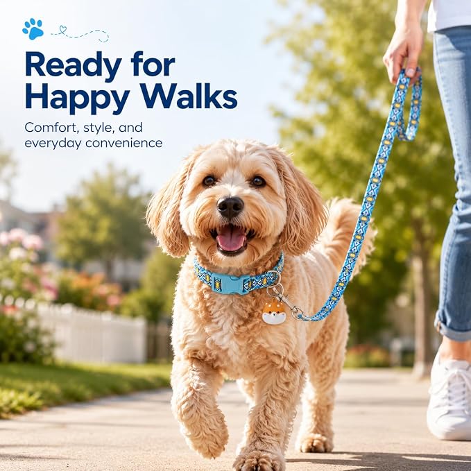 Matching Dog Collar and Leash Set with AirTag Holder-Blue Lattice/L | Anti-Lost,Adjustable Durable Pet Collar Leash Combo for Large Boy Girl Dogs,for Outdoor Walking Hiking Training Running